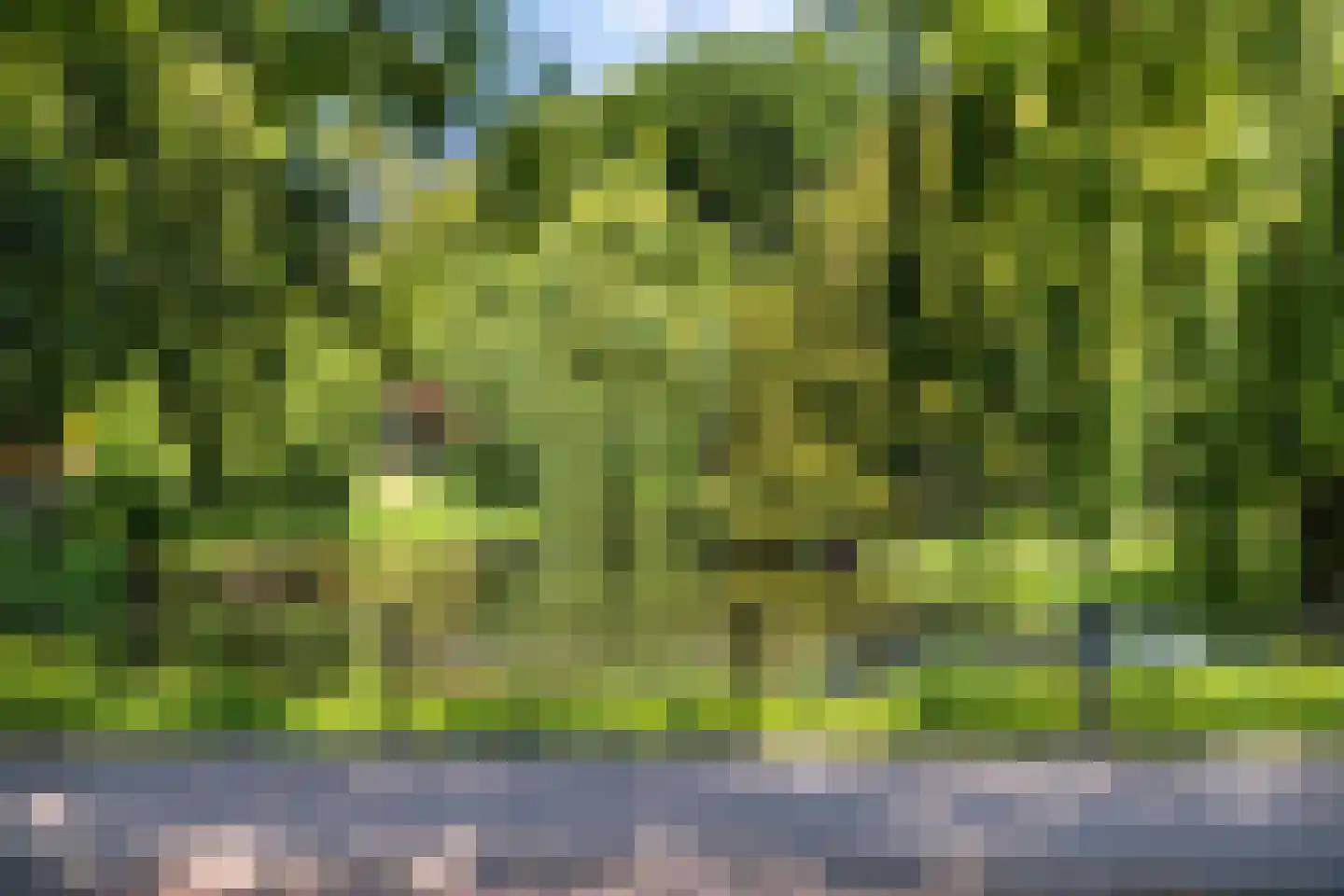 Nieuwe Binnenweg 348 B Rotterdam thumbnail 52