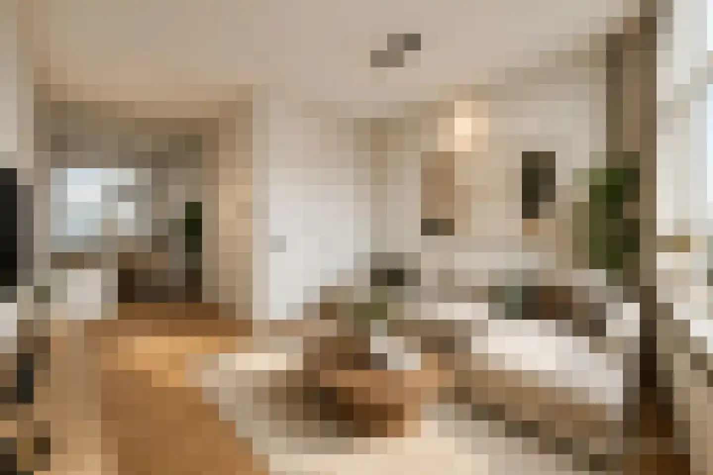 Nieuwe Binnenweg 357 A 01 Rotterdam thumbnail 16