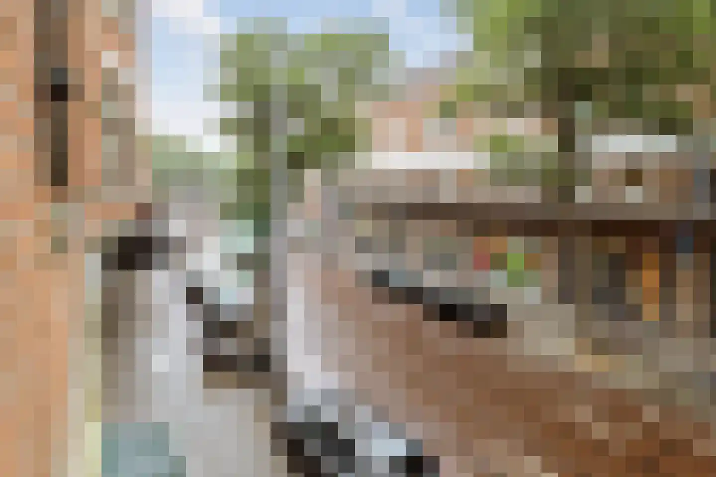Nieuwe Binnenweg 365 A 01 Rotterdam thumbnail 10