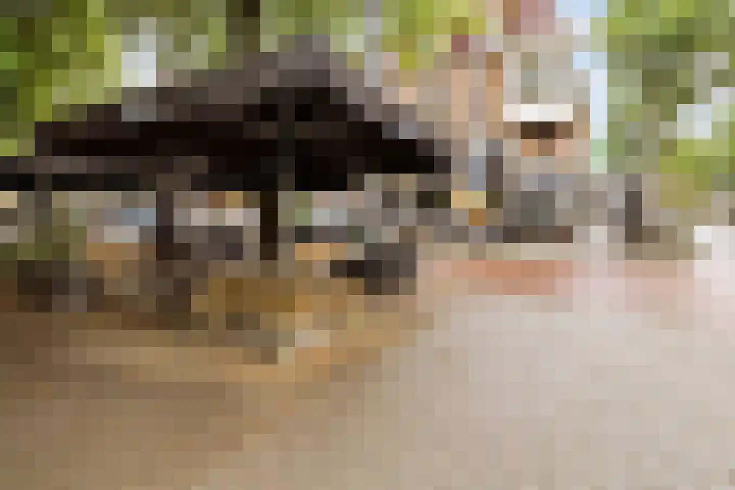 Nieuwe Binnenweg 365 A 01 Rotterdam thumbnail 35