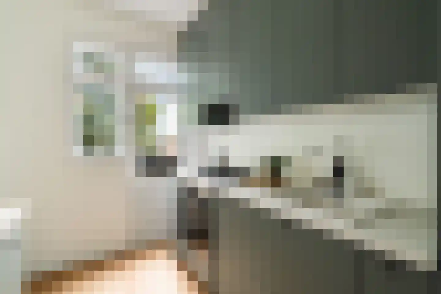 Nieuwe Binnenweg 40 03L Rotterdam thumbnail 18