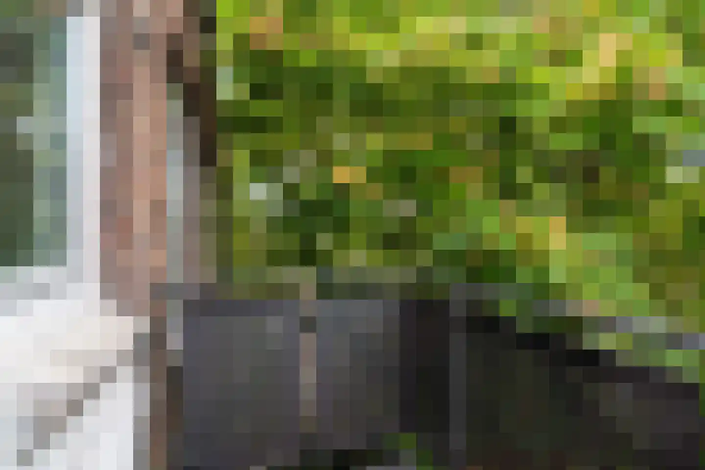 Nieuwe Binnenweg 40 03L Rotterdam thumbnail 23