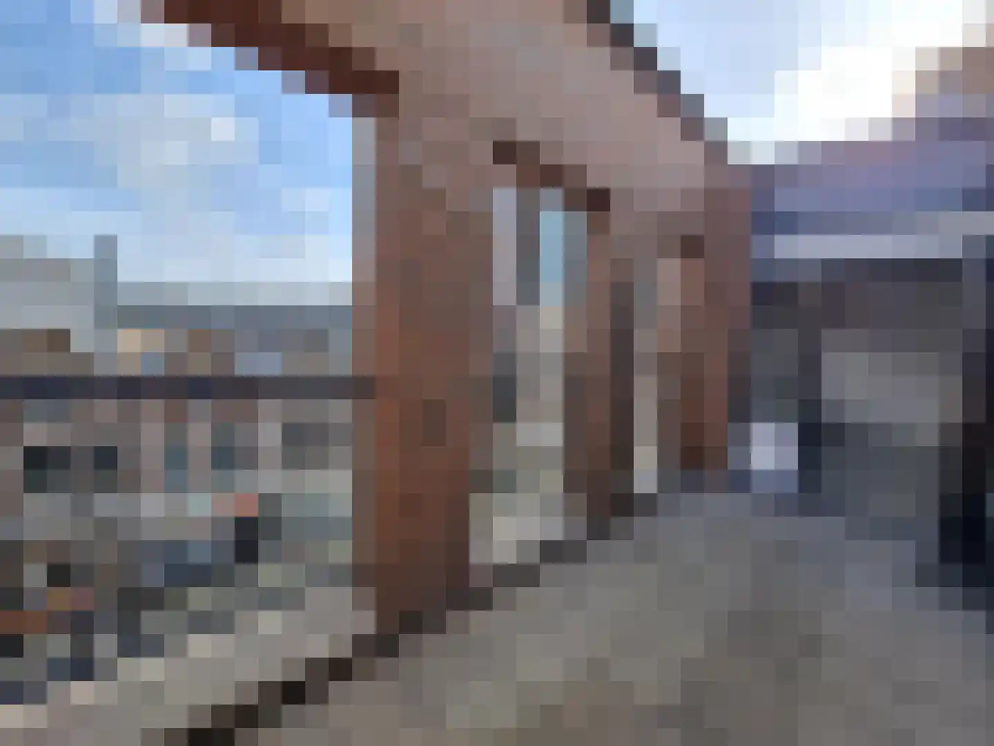 Nieuwe Binnenweg 541 Rotterdam thumbnail 8