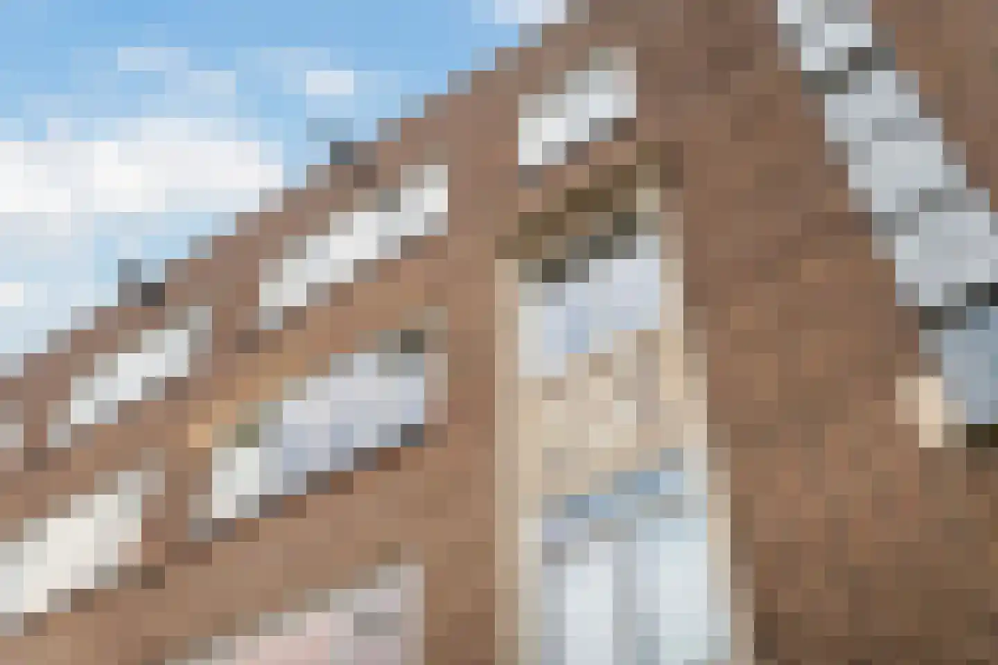 Nieuwe Binnenweg 84 02L Rotterdam thumbnail 28