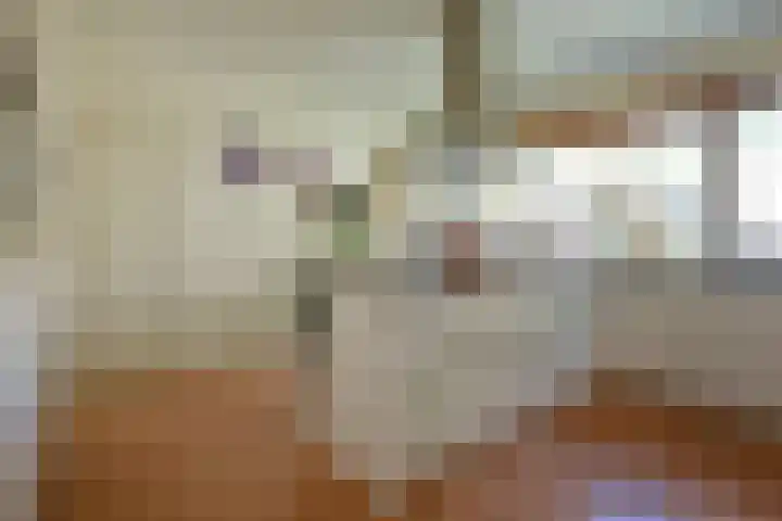 Nieuwe Blaricummerweg 15 Huizen thumbnail 10