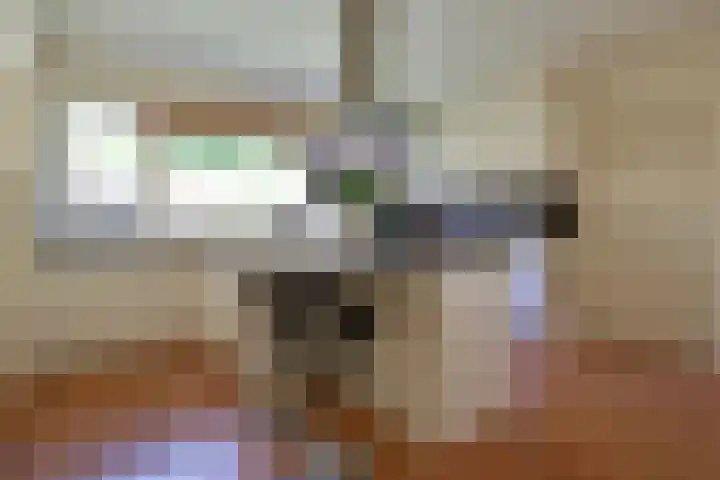 Nieuwe Blaricummerweg 15 Huizen thumbnail 11