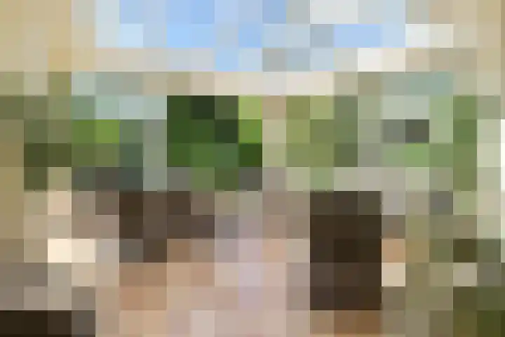 Nieuwe Blaricummerweg 15 Huizen thumbnail 12
