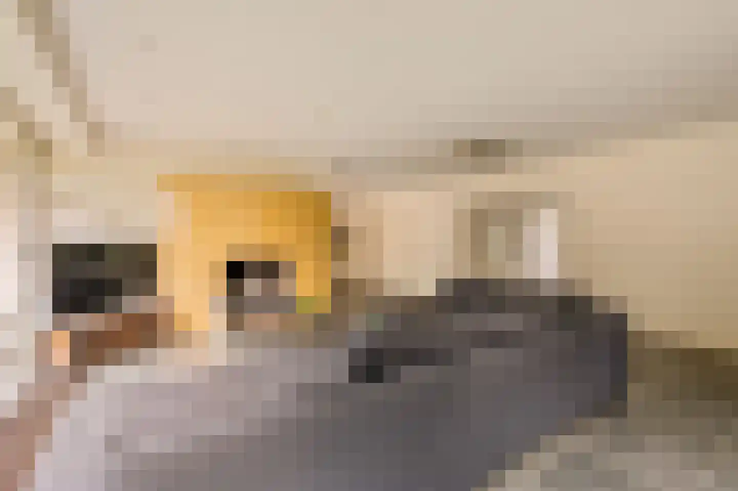 Nieuwe Blaricummerweg 15 Huizen thumbnail 13
