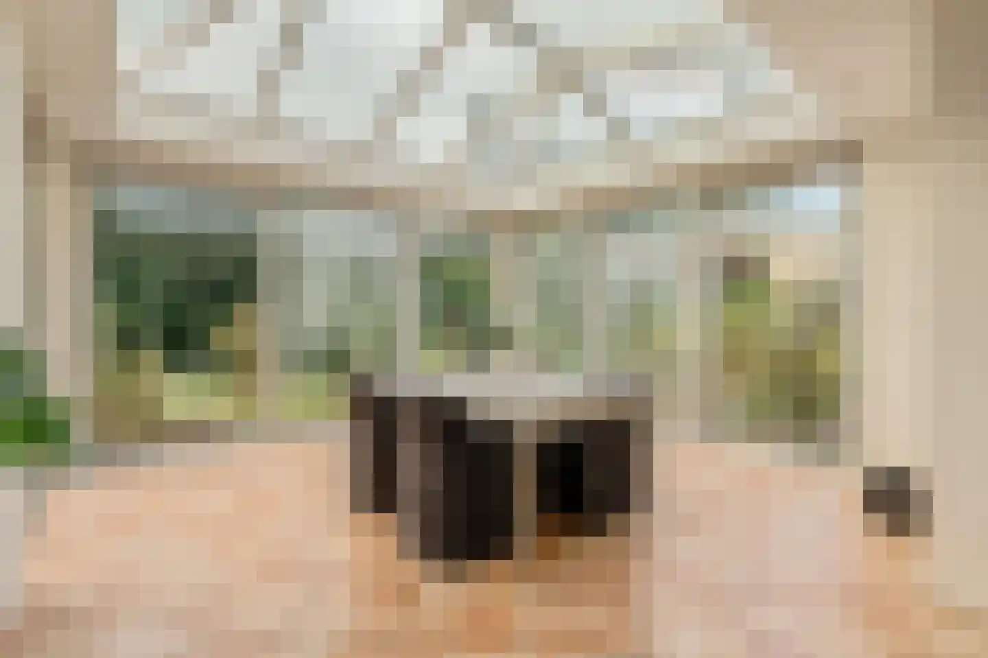 Nieuwe Blaricummerweg 15 Huizen thumbnail 16