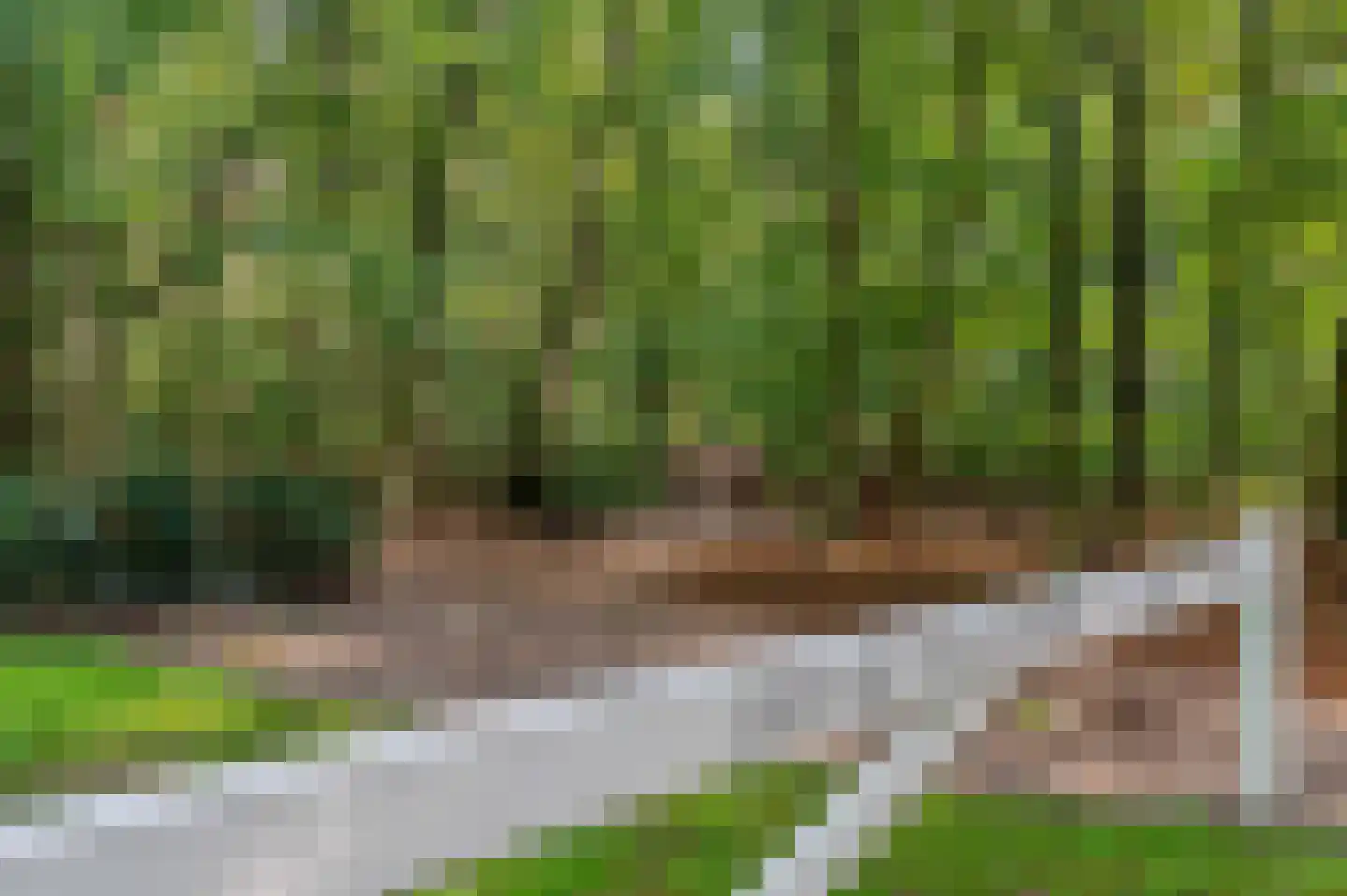 Nieuwe Blaricummerweg 15 Huizen thumbnail 17