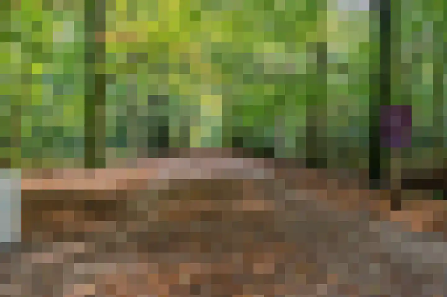Nieuwe Blaricummerweg 15 Huizen thumbnail 18