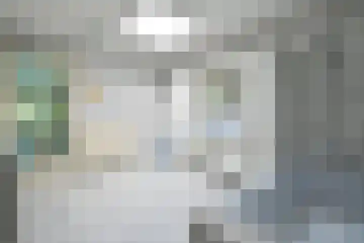 Nieuwe Blaricummerweg 15 Huizen thumbnail 18