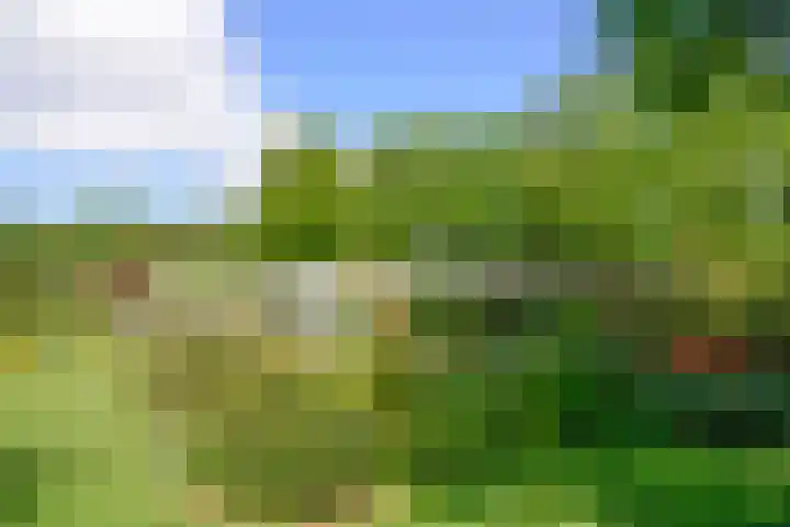 Nieuwe Blaricummerweg 15 Huizen thumbnail 26