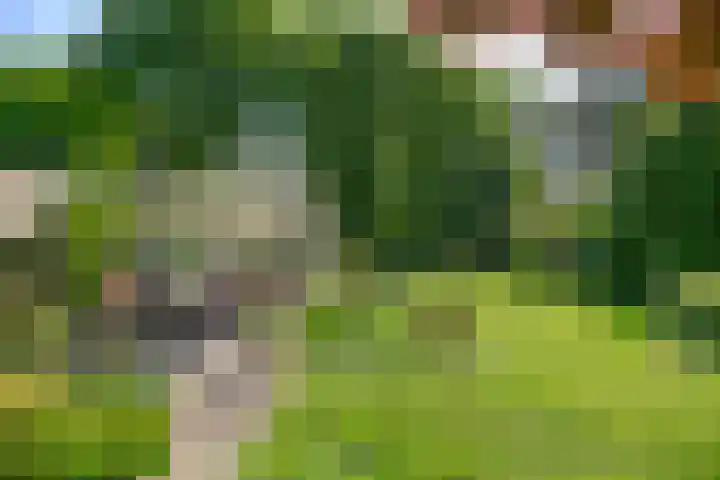 Nieuwe Blaricummerweg 15 Huizen thumbnail 28