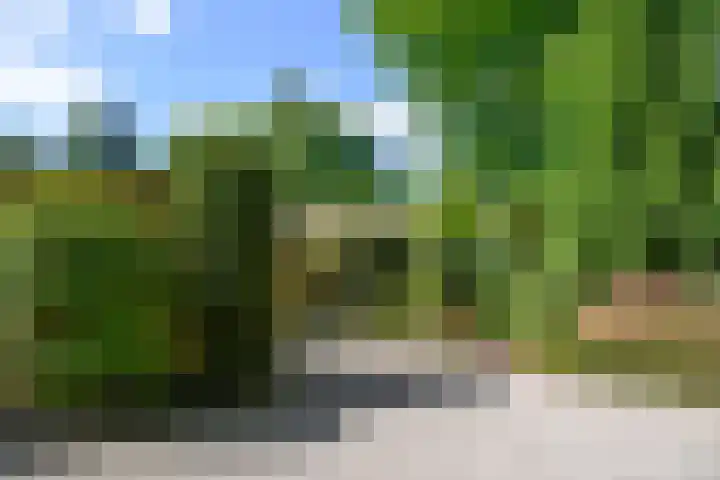 Nieuwe Blaricummerweg 15 Huizen thumbnail 30