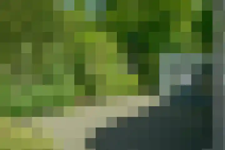 Nieuwe Blaricummerweg 15 Huizen thumbnail 31