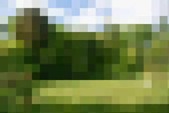 Nieuwe Blaricummerweg 15 Huizen thumbnail 32