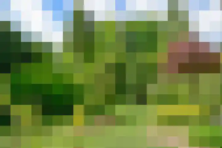 Nieuwe Blaricummerweg 15 Huizen thumbnail 33