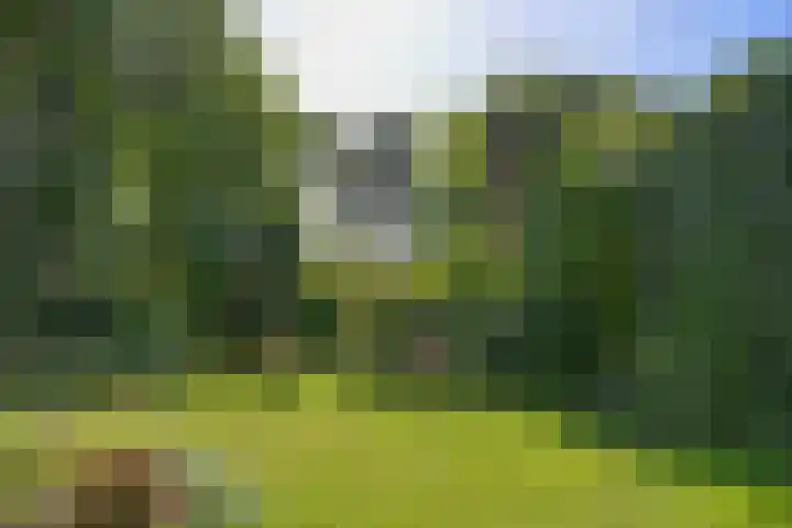 Nieuwe Blaricummerweg 15 Huizen thumbnail 34