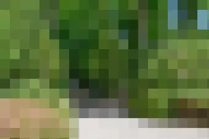 Nieuwe Blaricummerweg 15 Huizen thumbnail 35
