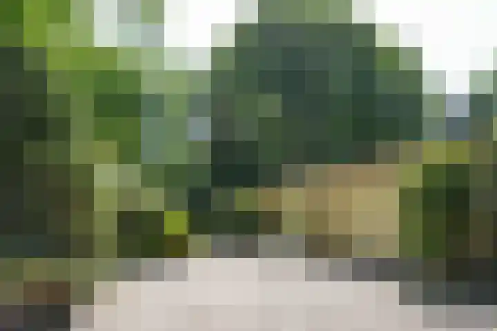 Nieuwe Blaricummerweg 15 Huizen thumbnail 36