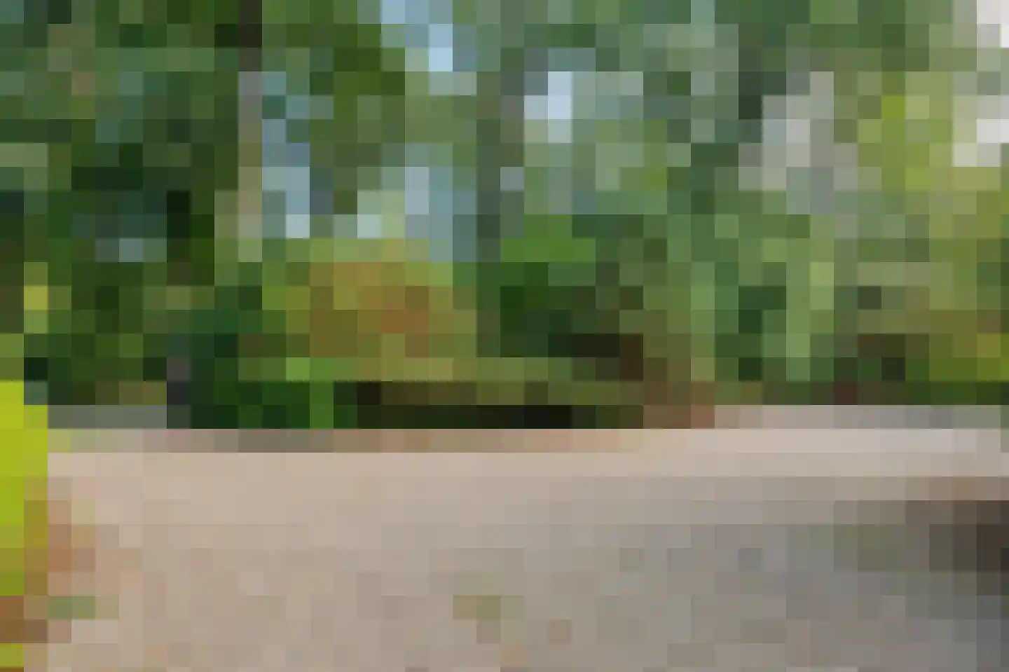 Nieuwe Blaricummerweg 15 Huizen thumbnail 4