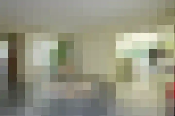 Nieuwe Blaricummerweg 15 Huizen thumbnail 5