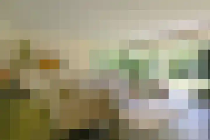 Nieuwe Blaricummerweg 15 Huizen thumbnail 6