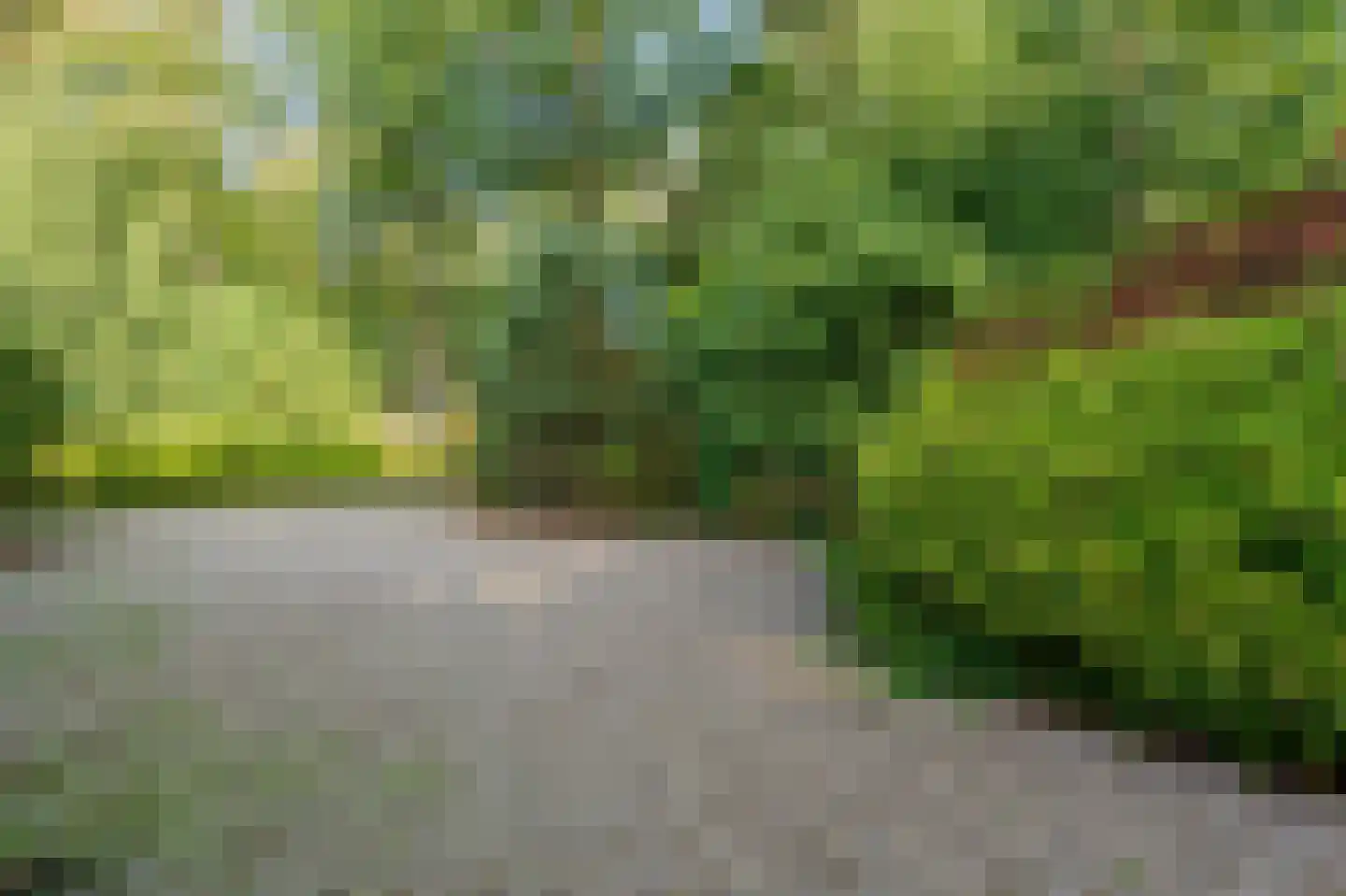 Nieuwe Blaricummerweg 15 Huizen thumbnail 6