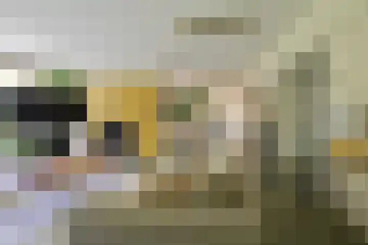 Nieuwe Blaricummerweg 15 Huizen thumbnail 7