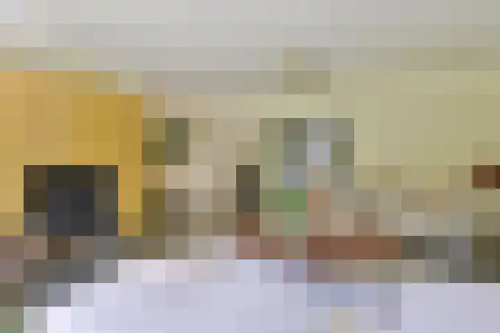 Nieuwe Blaricummerweg 15 Huizen thumbnail 8