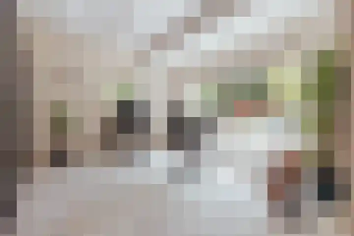 Nieuwe Blaricummerweg 3 Huizen thumbnail 10