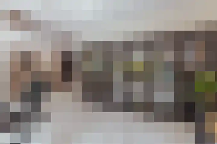 Nieuwe Blaricummerweg 3 Huizen thumbnail 11
