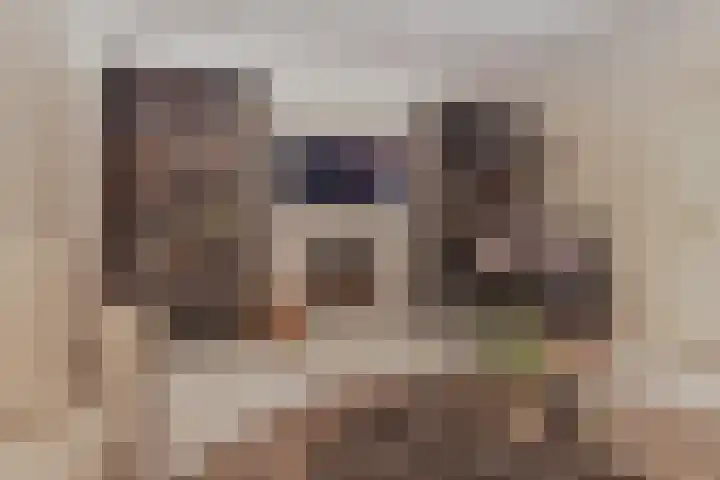 Nieuwe Blaricummerweg 3 Huizen thumbnail 12