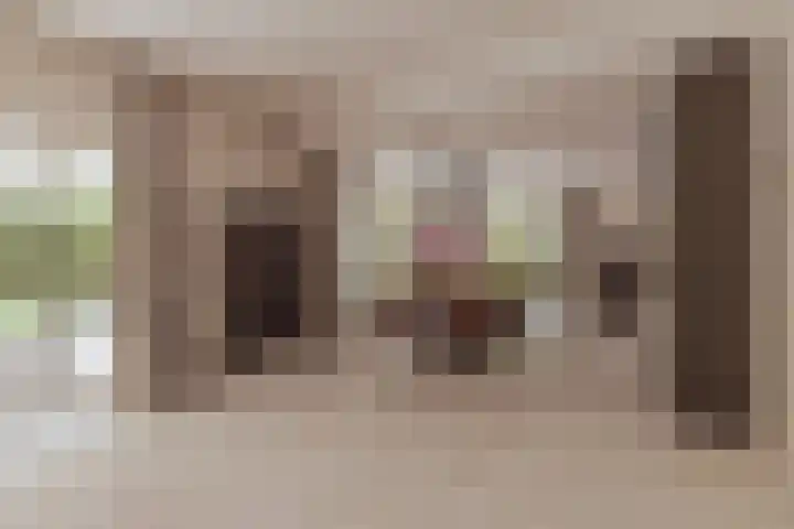 Nieuwe Blaricummerweg 3 Huizen thumbnail 14