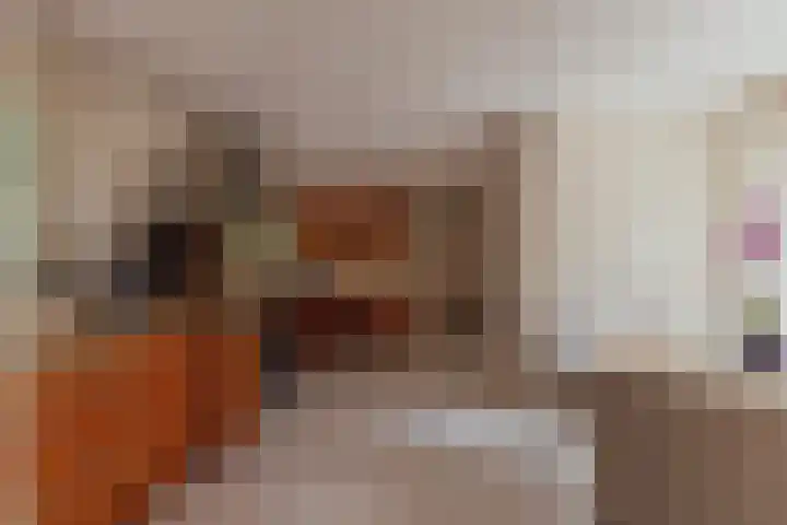 Nieuwe Blaricummerweg 3 Huizen thumbnail 20