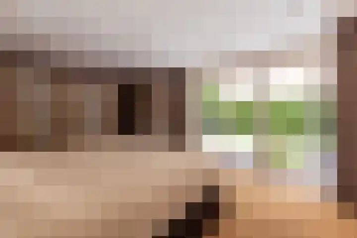 Nieuwe Blaricummerweg 3 Huizen thumbnail 22