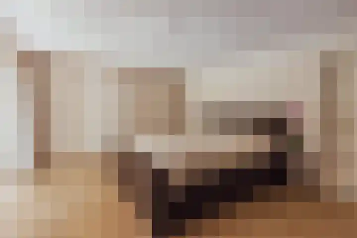 Nieuwe Blaricummerweg 3 Huizen thumbnail 23