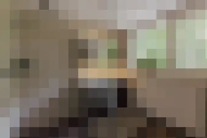 Nieuwe Blaricummerweg 3 Huizen thumbnail 25