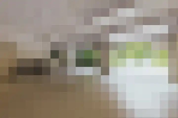 Nieuwe Blaricummerweg 3 Huizen thumbnail 26