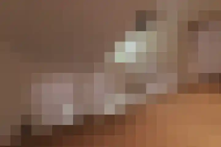 Nieuwe Blaricummerweg 3 Huizen thumbnail 34