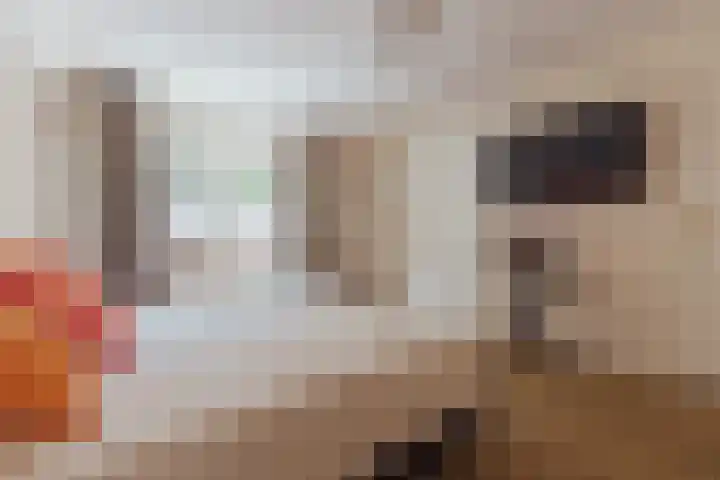Nieuwe Blaricummerweg 3 Huizen thumbnail 37
