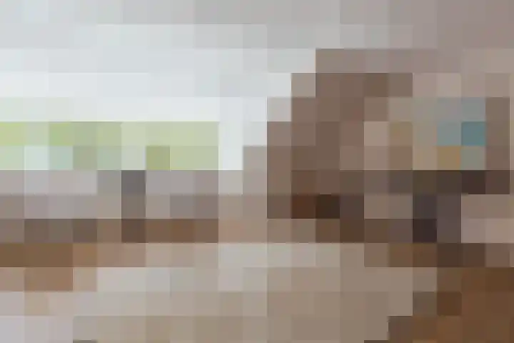 Nieuwe Blaricummerweg 3 Huizen thumbnail 39