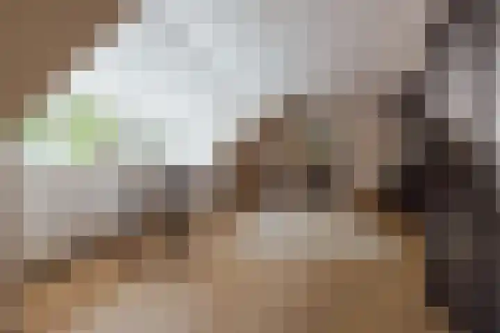 Nieuwe Blaricummerweg 3 Huizen thumbnail 40