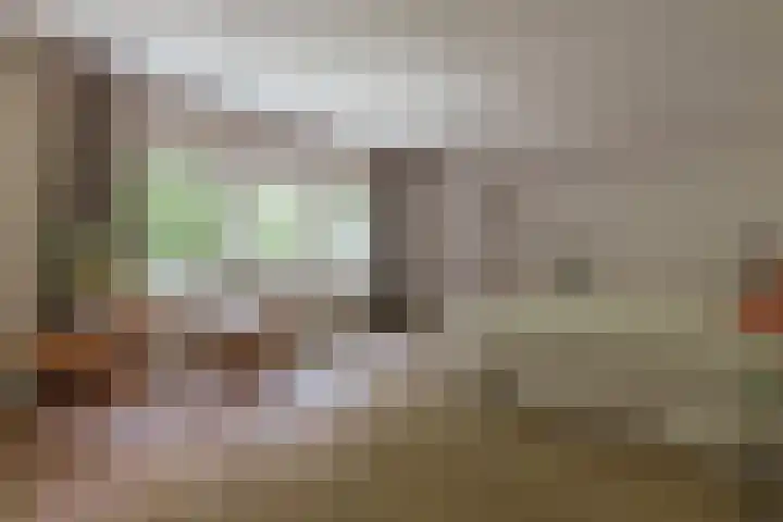 Nieuwe Blaricummerweg 3 Huizen thumbnail 41