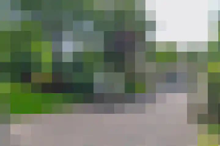 Nieuwe Blaricummerweg 3 Huizen thumbnail 47