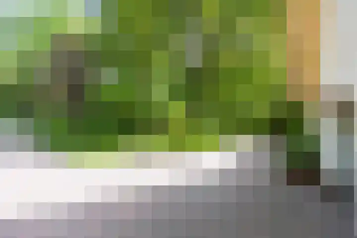 Nieuwe Blaricummerweg 3 Huizen thumbnail 48