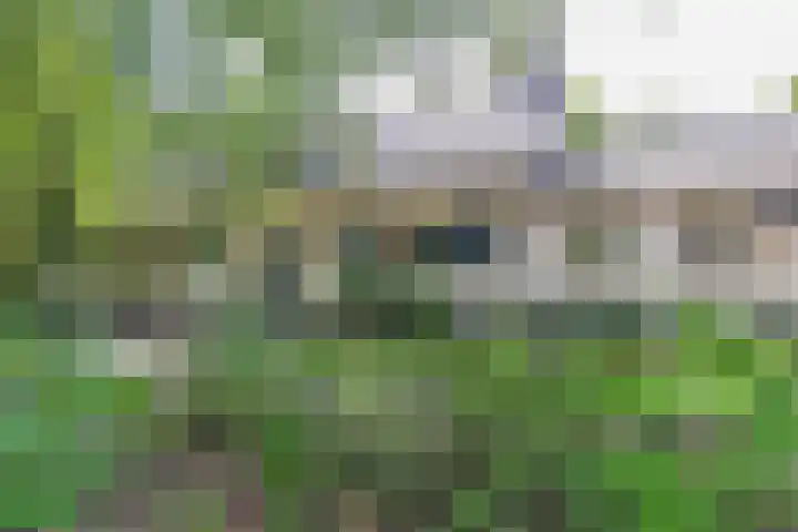 Nieuwe Blaricummerweg 3 Huizen thumbnail 49