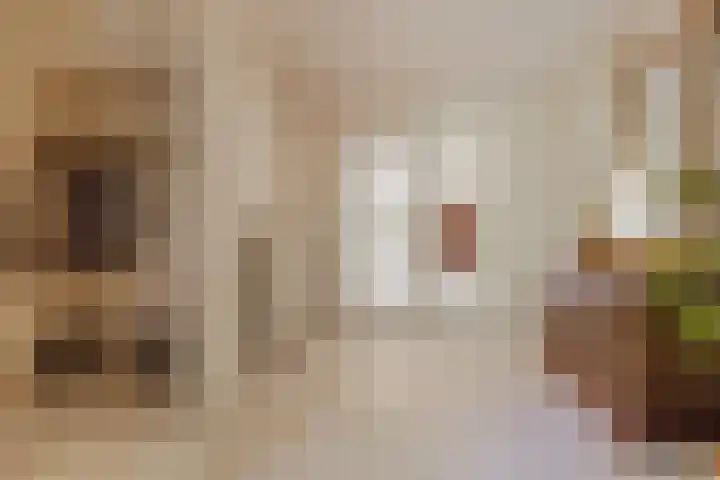 Nieuwe Blaricummerweg 3 Huizen thumbnail 5