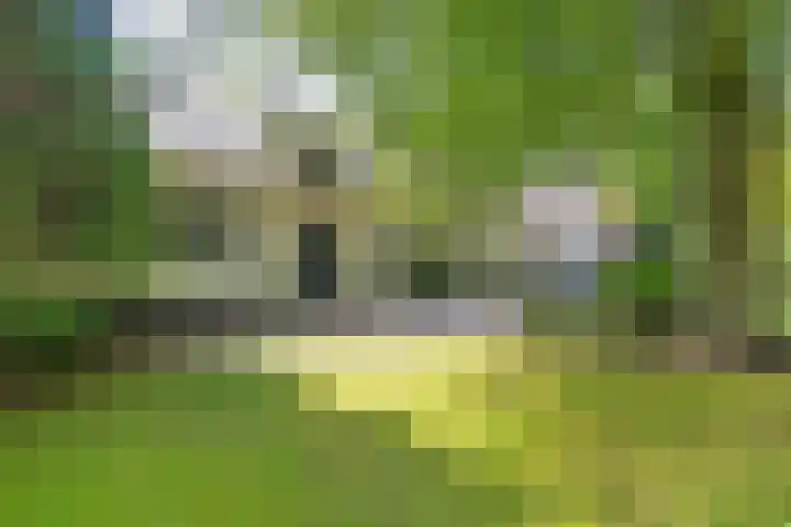 Nieuwe Blaricummerweg 3 Huizen thumbnail 50